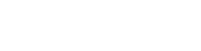 DakshinaChitra — The Living Museum