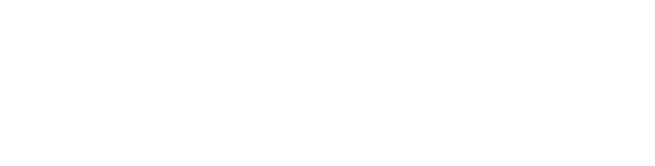 DakshinaChitra — The Living Museum